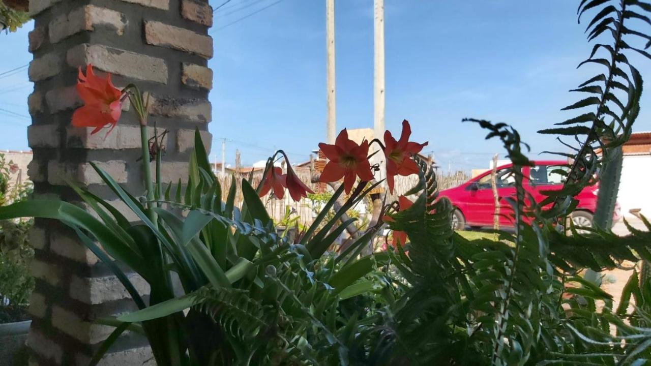 Casa De Praia Toca Da Onca São Miguel do Gostoso Exterior foto